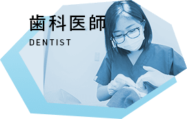 歯科医師 DENTIST